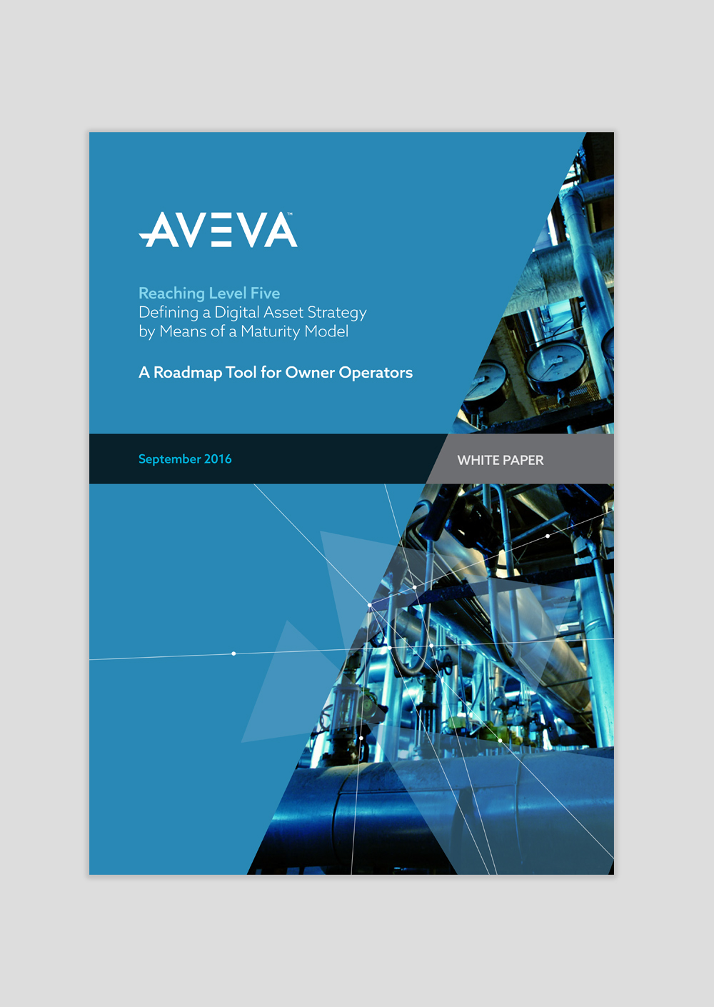 AVEVA – Reaching Level Five - Cam Design Studio