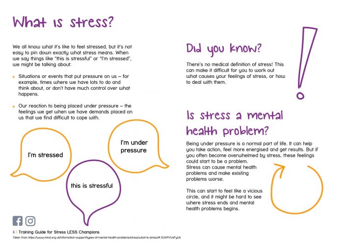 StressLESS-Champions-Training-4